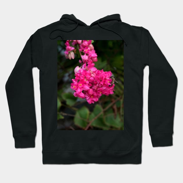 Bee on Key West Flower Hoodie by seacucumber